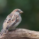 2 2